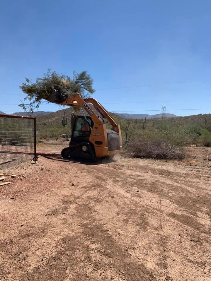 Site Clearing — Arizona